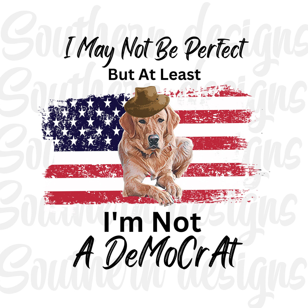 Funny PNG File For Sublimation, Funny American PNG, Patriotic Png, Democrat PNG, Fjb, Country Png, American Flag Png, Southern Png, Cute