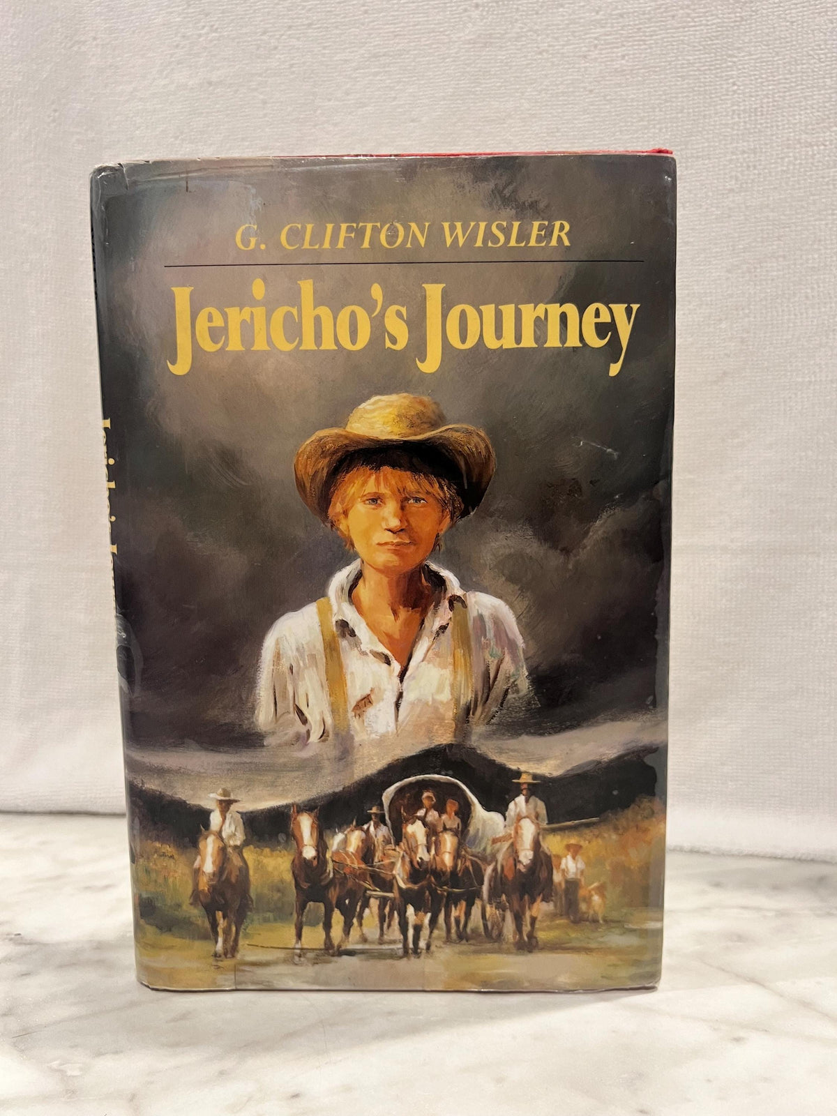 Jericho’s Journey by G. Clifton Wisler, Hardback Book, First Edition, Old Vintage School Books, Class Library,