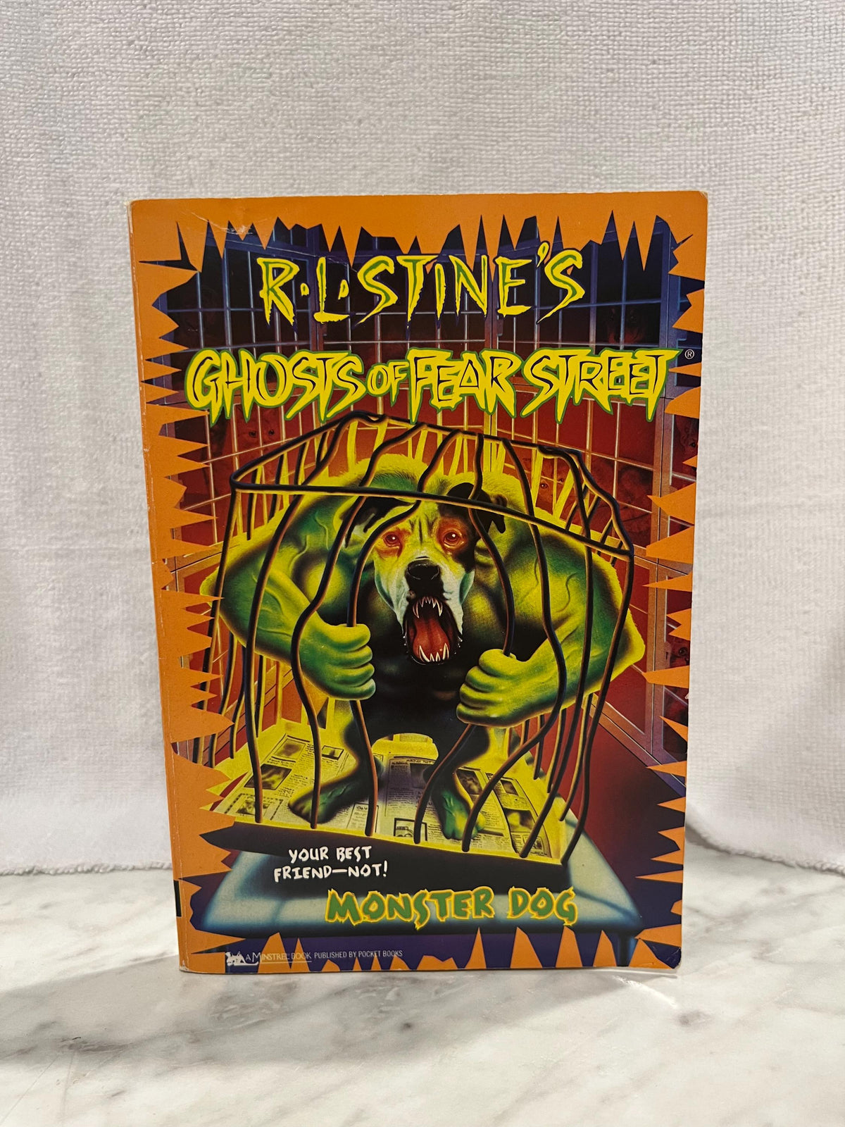 R.L Stine’s Ghosts Of Fear Street, Monster Dog, Paperback book, Children’s Vintage