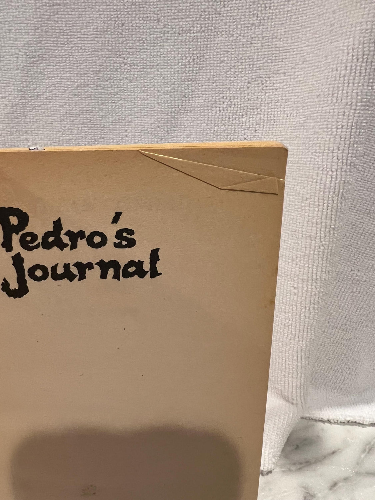 Pedro’s Journal, Children’s Vintage Book, Paperback, 1991